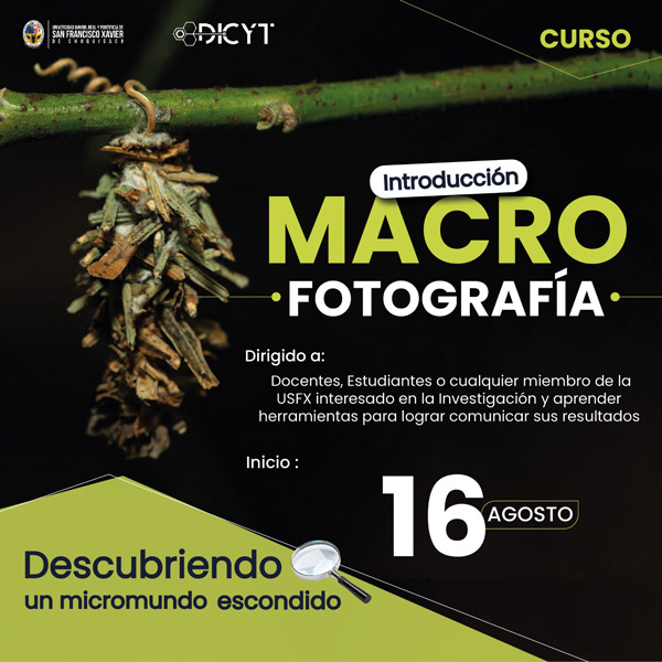 Introducción a la macrofotografía: descubriendo un micromundo escondido