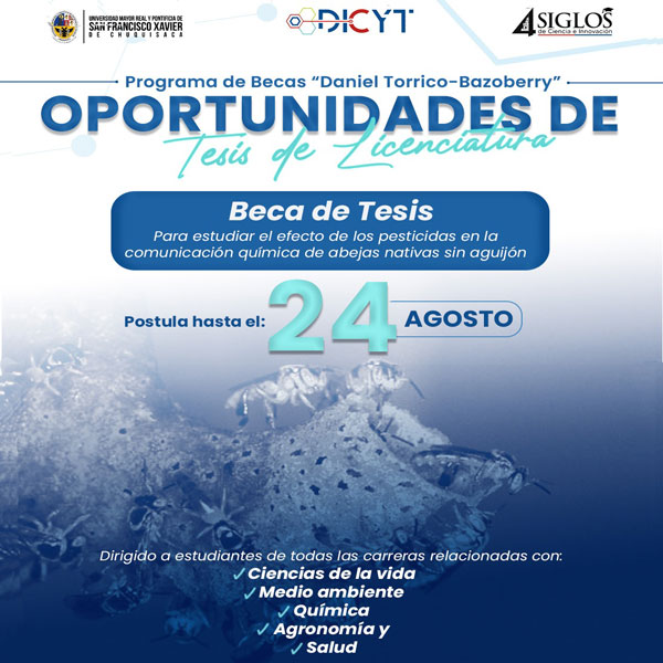 Beca: Oportunidades de tesis de licenciatura del Programa de Becas «Daniel Torrico-Bazoberry»